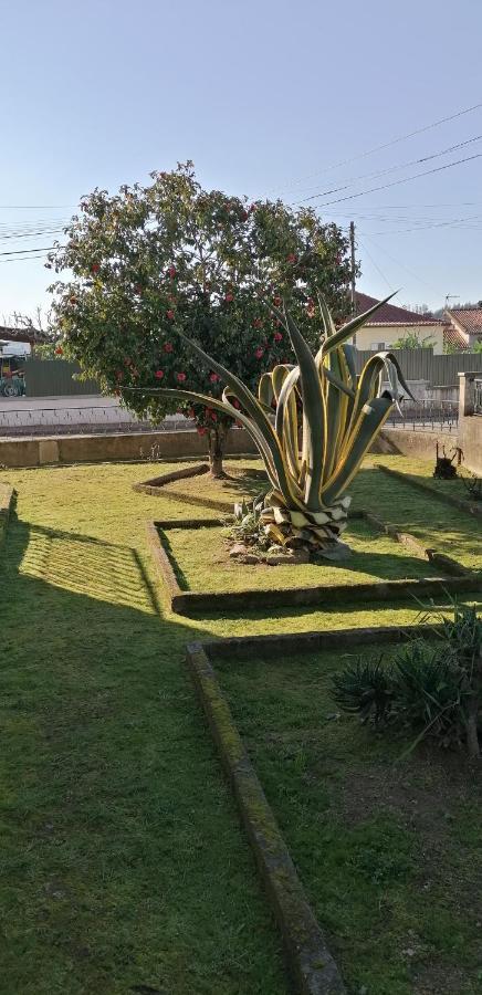 Moradia Santa Comba Holiday home
