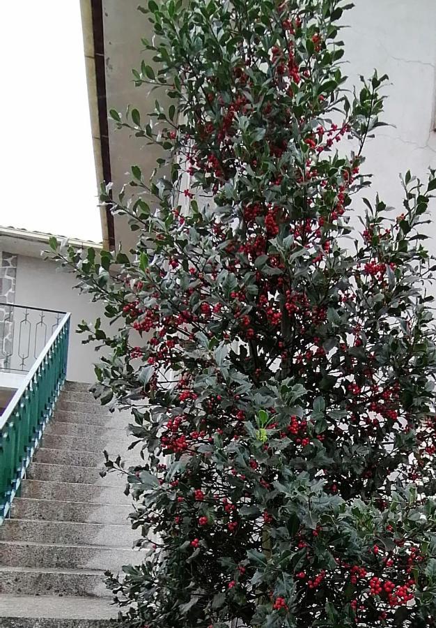 Moradia Santa Comba *